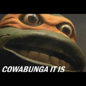 Meet your Posher, Austin